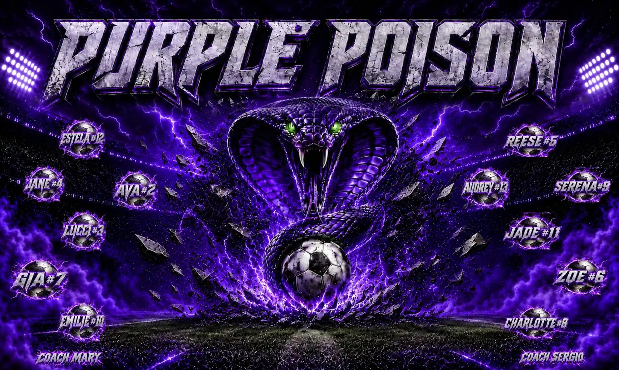 Custom Team Banner
