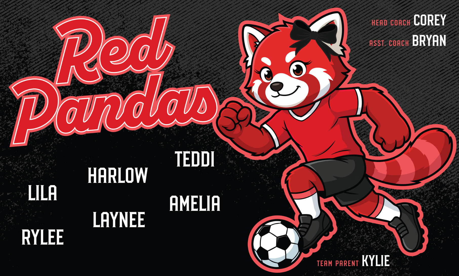 Custom Team Banner